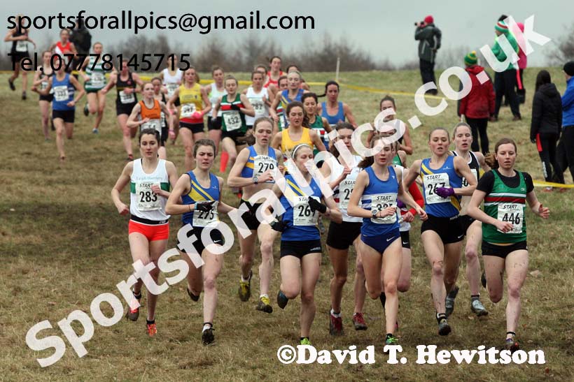 Senior women, 2018 Northern Cross Country Champs., Harewood House, Leeds. Photo: David T. Hewitson/Sports for All Pics